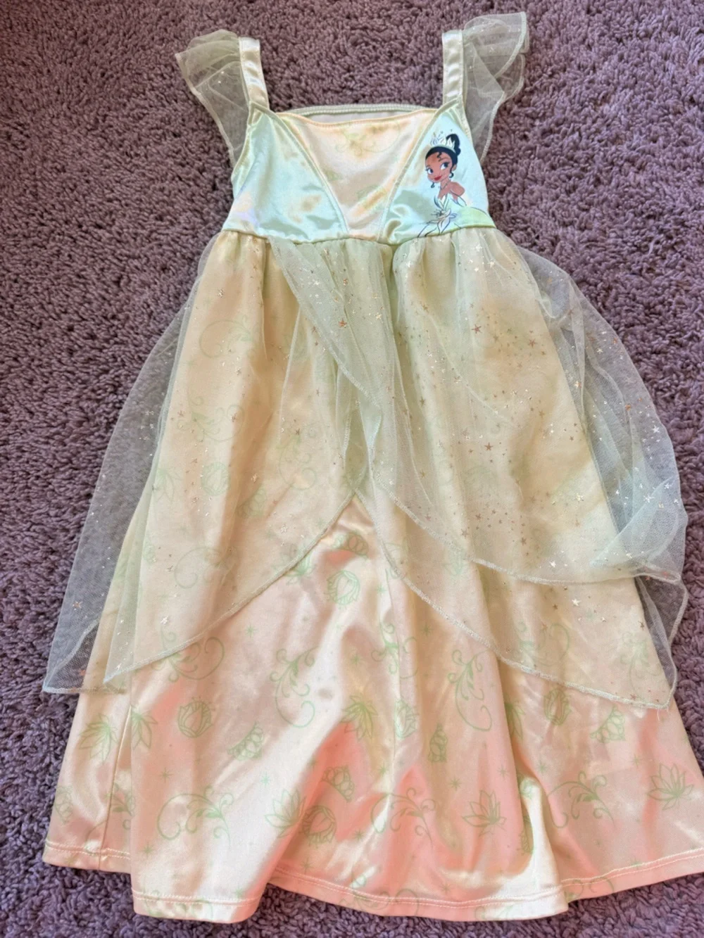 Disney Princess Pale Green Sparkle Costume Dress - Picture 1 of 2